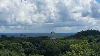 MarDe Dani en Guatemala, Tikal, Subida al Templo IV