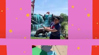 Adventure Landing Buffalo Miniature Golf