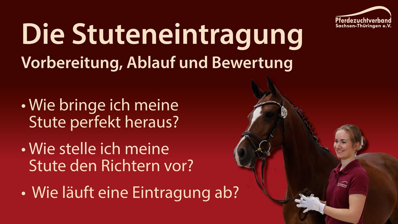 Stuteneintragung