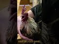 Youtube Thumbnail title