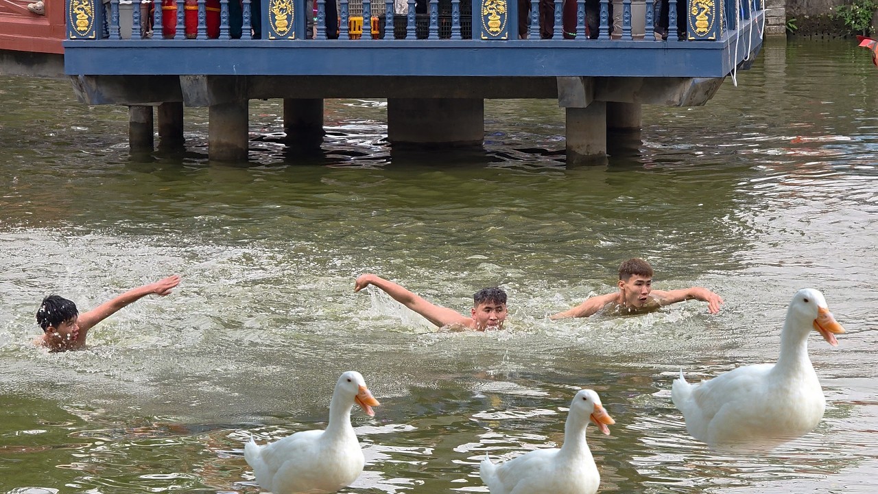 You Won’t Believe This Wild Duck Catching Game at a Vietnamese Festival!