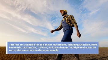 Mycotoxin Testing with Charm - Confidence in Performance