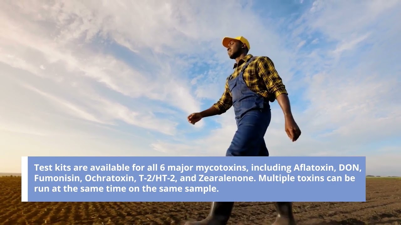 Mycotoxin Testing with Charm - Confidence in Performance