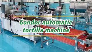 Famous Fully Automatic Tortilla Making Machine Production Line🌮| High Efficiency & Precision #snackmachine Wealth