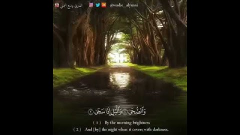 سورة الضحى بصوت القارئ وديع اليمني