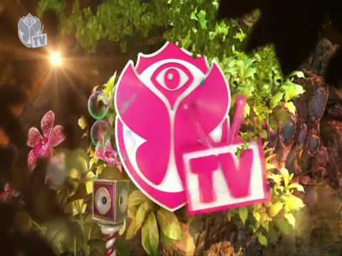 TOMORROWLAND 2013 AFTERMOVIE MIX