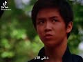 حكمة بروسلي في الفلم