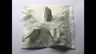 Stop Motion Mushroom Fabric Growth
