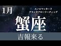 2024年1月【蟹座】〜吉報来る〜【恐ろしいほど当たるルノルマンカードグランタブローリーディング＆アストロダイス】