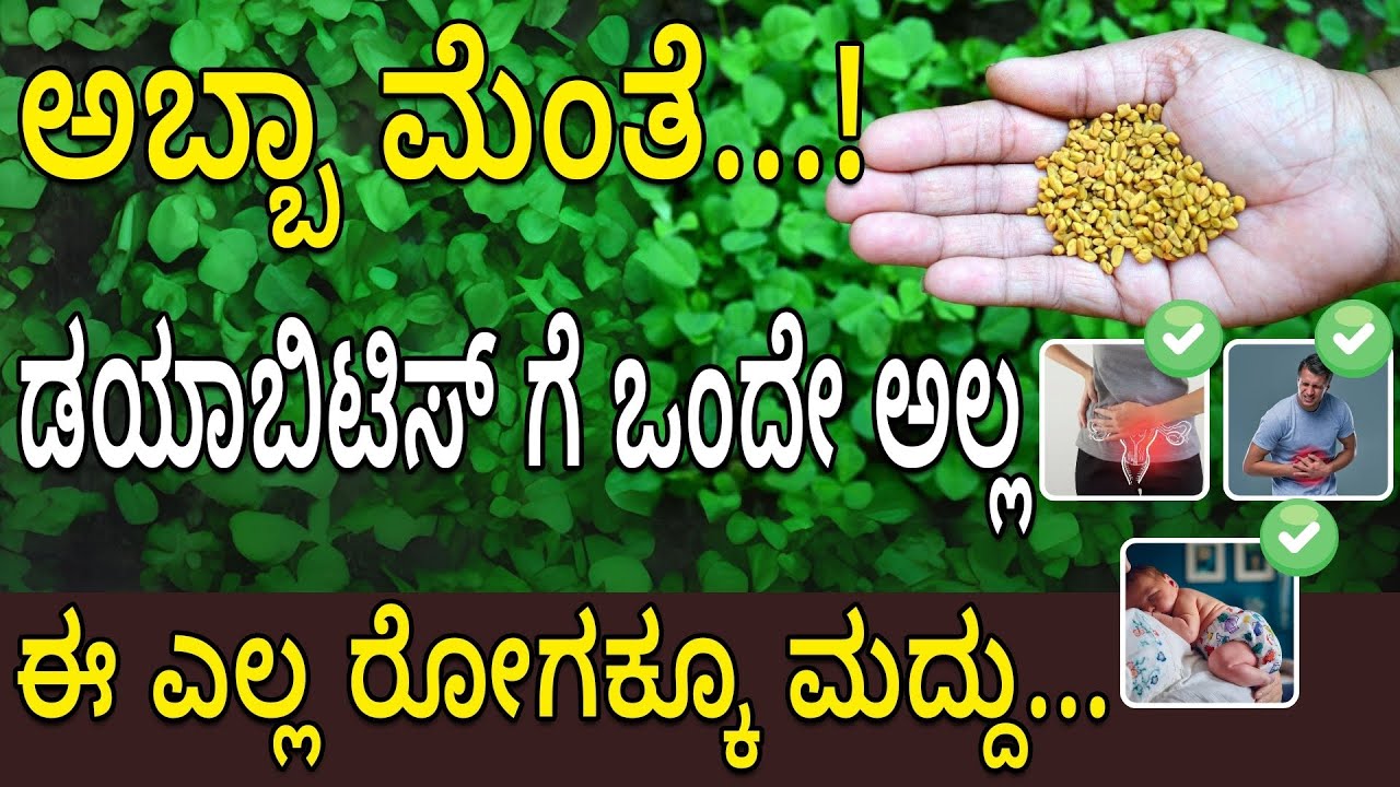 ಅಬ್ಬಾ ಮೆಂತೆ...! ಡಯಾಬಿಟಿಸ್ ಗೆ ಒಂದೇ ಅಲ್ಲ, ಈ ಎಲ್ಲ ರೋಗಕ್ಕೂ ಮದ್ದು| Fenugreek seeds methi benefits