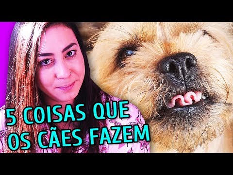 Vídeo: Essas 5 Coisas Entorpecem Seu Cérebro, Então Saiba - Visão Alternativa