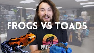 Celebrity Difference between frogs and Toads. Wealth