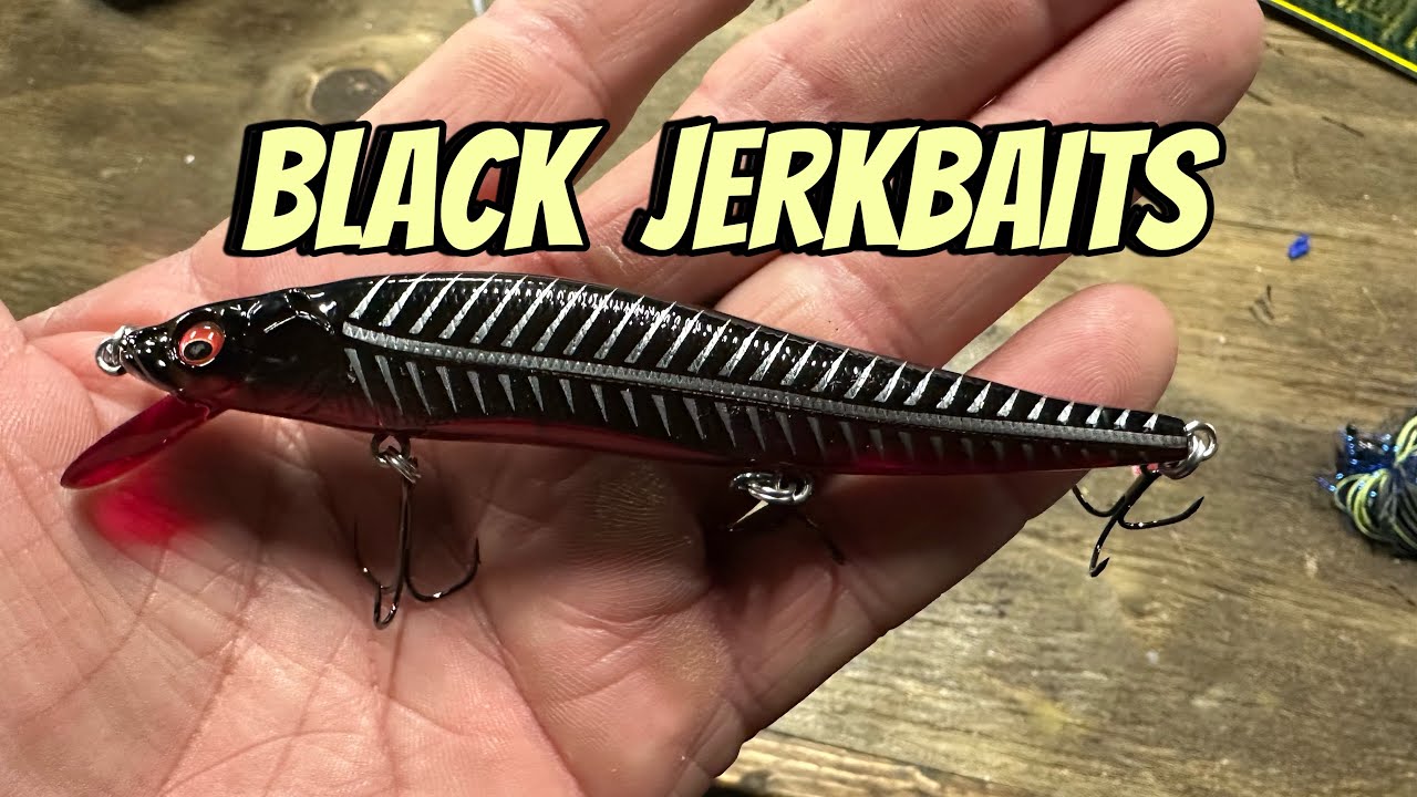 When A Black Jerkbait Outproduces All Other Colors YouTube