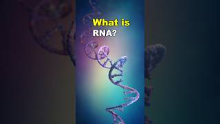 WHAT IS RNA?