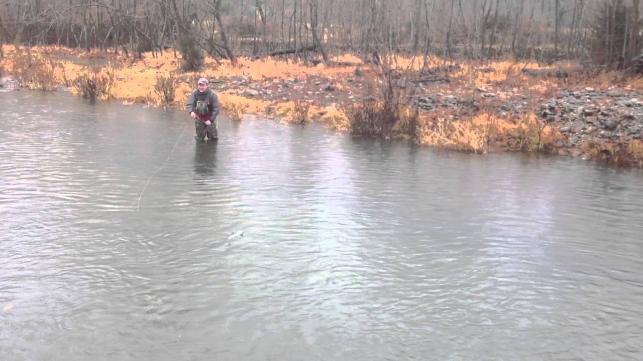 Sugar Hollow Farm 2013 YouTube