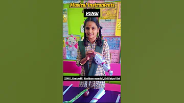Traditional Musical Instruments Crafts 9th Cl English Sound Of Music 