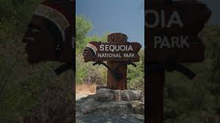 Stockvideo -The Sequoia National Park Sign Non Copyright Video Free Download Shorts