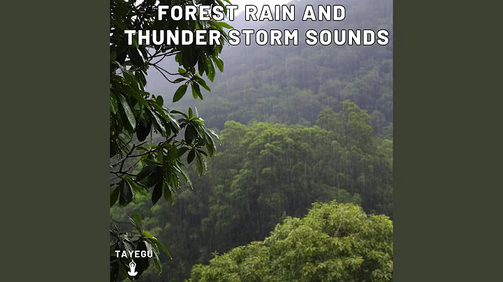 Forest Rain and Thunder Storm Sounds Crow Bird 1 Hour Relaxing Nature Ambient Yoga Meditation...
