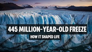 How a 445 Million-Year-Old Freeze Shaped Life
