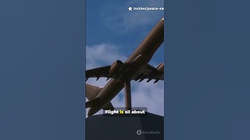 ✈️ How Do Airplanes Fly? | Explained in 30 Seconds #flightscience #howthingswork