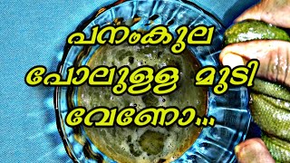 മുടി തഴച്ചു വളരാന് എണ്ണ കാച്ചുന്ന വിധം|Herbal oil for hair growth/malayalam