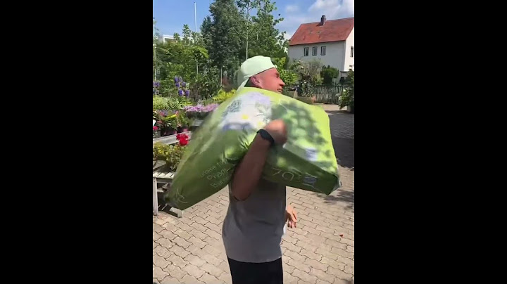 Kimmich und Raum Nebenberuflich Gärtner 🪴