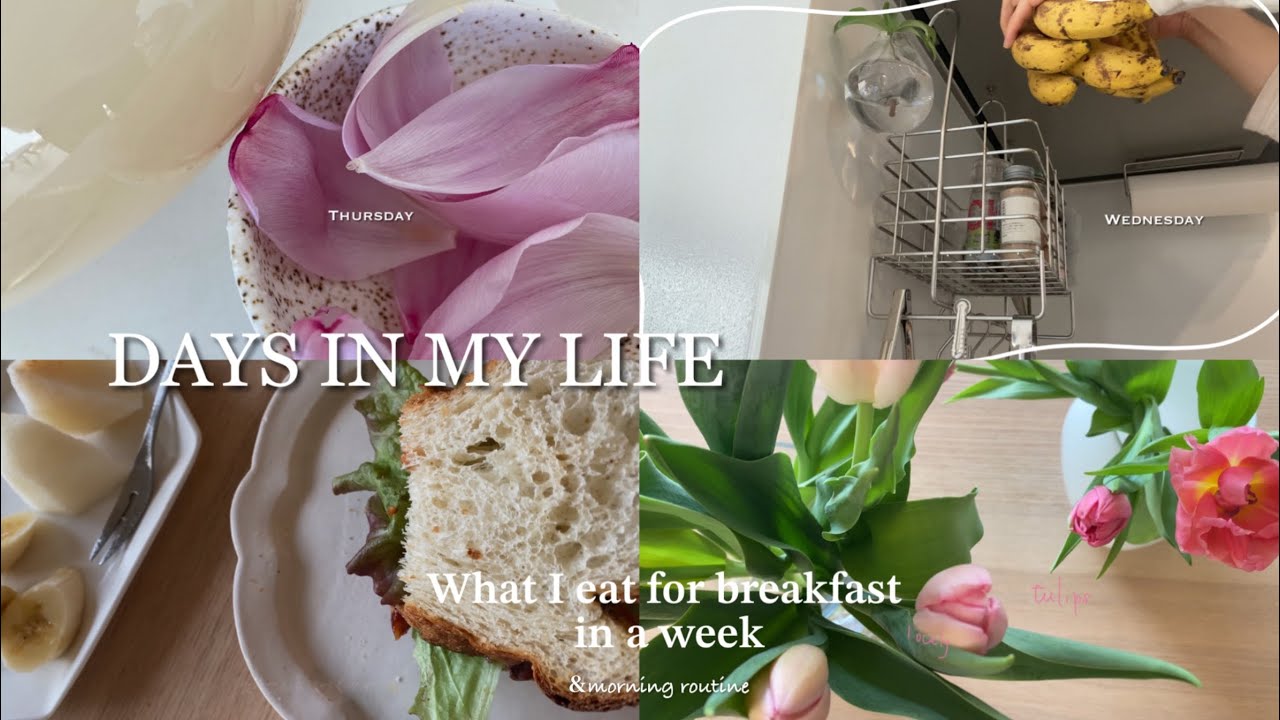 朝起きて会社へ行くまでの日常とパン好きの朝食　1week｜おうちごはん｜平凡な毎日｜果物と花が好き｜モーニングルーティン｜VLOG