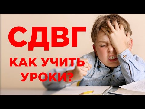 СДВГ: как учить уроки с ребенком? Обучение гиперактивных детей в школе и дома. Советы педагога СДВГ