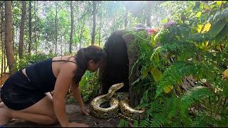 Horrifying Rescue! Girl Trapped in a Cave by a Giant Python and Wild Wolf – Hunters Save Her Just in