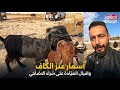 Prices Of Al Kaf Goats And The Demand From The Clinic For Sacrificial Animals 