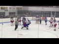 Fight at the watertown wolves  port huron prowlers game