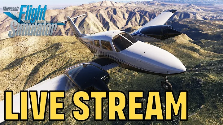 Microsoft Flight Simulator 2024  - TWINS IN THE BUSH