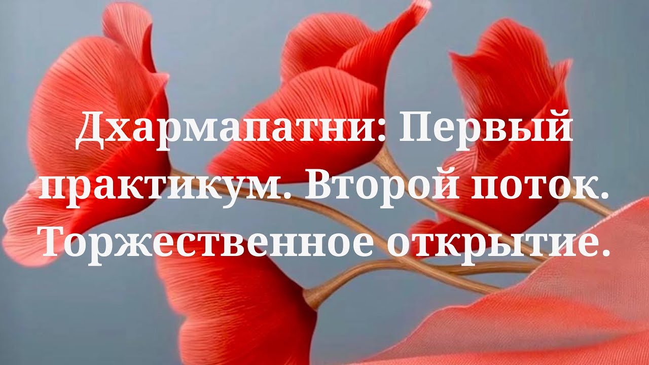 Дхармапатни: Первый практикум. Второй поток. Торжественное открытие. ВТ 25.11.2025г.