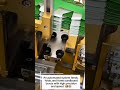 Automatic Box Folding Machine in Action