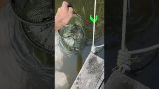 рыбалка, рыбалка 2025, карась, fishing, рыбалка на карася, щука, рыбалка на поплавок, рыба