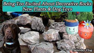 Went to Lowes & PetSmart || Shopping Haul || Calathea Self Watering Pots Update || Saturday Vlog