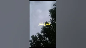 المنشاوي قال ربي اني ظلمت نفسي 