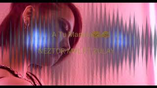 Neztor mvl - A Tu Manera (ft Zulay) Video Lyrics