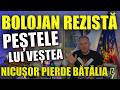 Nicușor pierde altă bătălie cu Bolojan. Infractorul lui Dragnea e peștele lui Veștea în Parlament