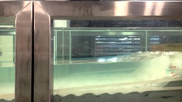 Wave ripple migration time lapse 2