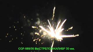 CGF 989