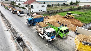 New Project Land Filling Up 5Ton Dump Truck Moving Dirt Mini Bulldozer KOMATSU Pushing Clearing Dirt