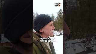 Опасный гость в деревне! Рысь выходит в населенный пункт в дневное время #рысь #хищник