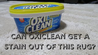 OxiClean Stain Removal | Can OxiClean get a stain out of my rug?