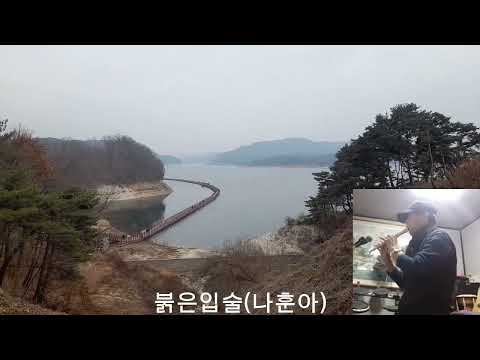 붉은입술(나훈아)/미스터트롯2에서 장구의신  박서진군이 부른 노래를 피리로~^^