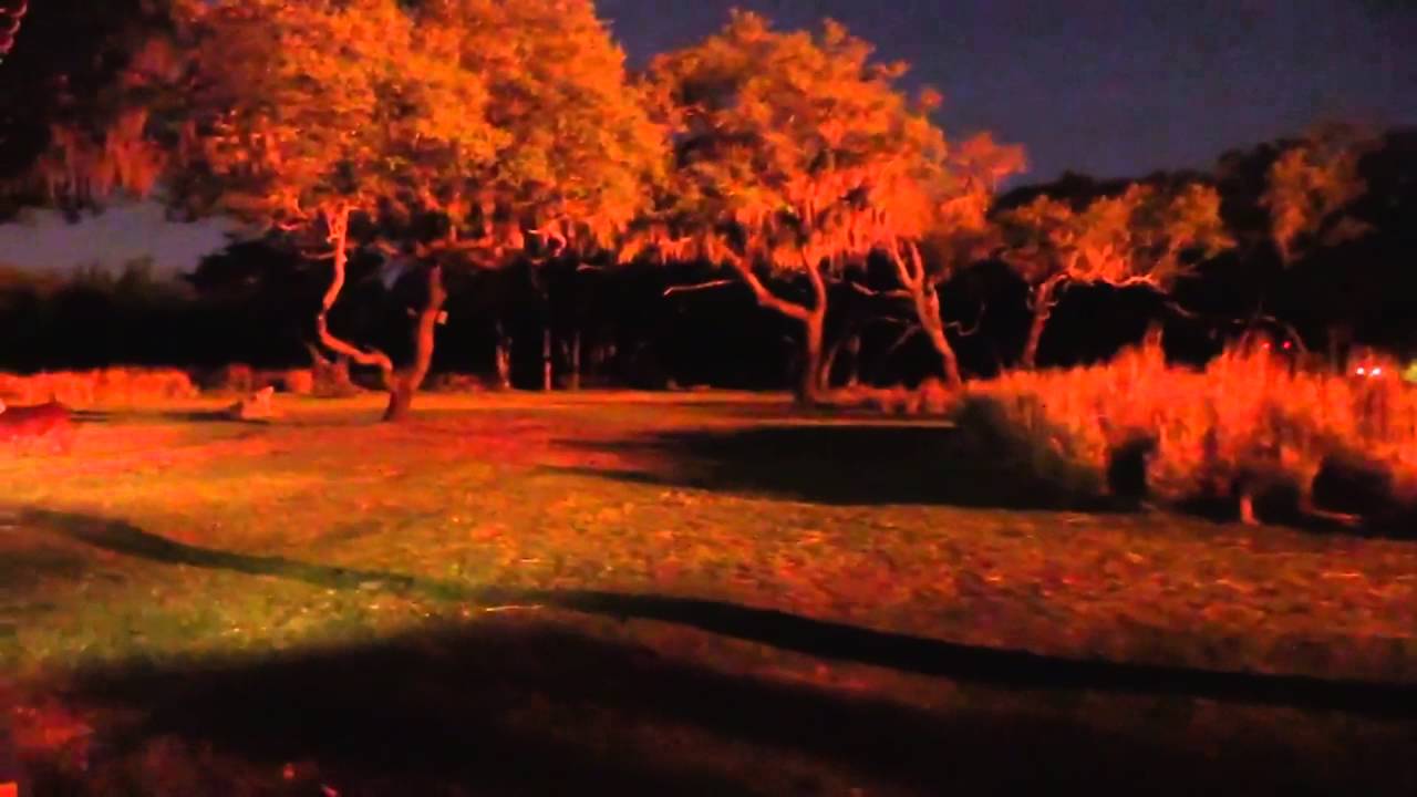 kilimanjaro safari at night