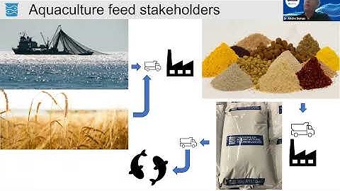 Latest developments in sustainable aquaculture feeds