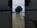 মহিসেরটেক রিভারভিউ গাজীপুর 🥰