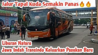 Gebrakan Libur Nataru🔥🔥Jawa Indah Transindo Keluarkan Pasukan Baru