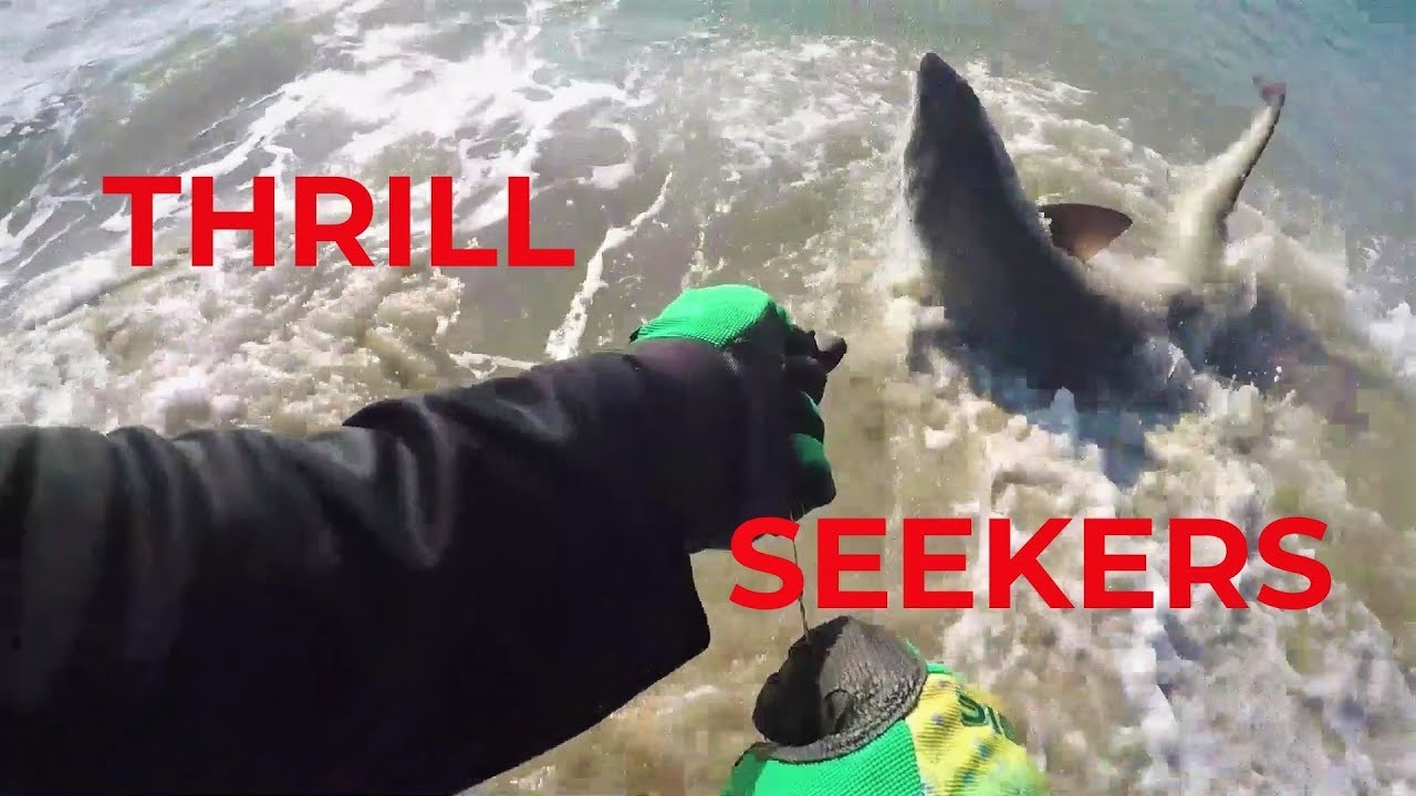 extreme fishing charters Shark Fishing 2019